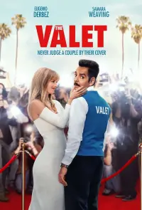 Poster to the movie "The Valet" #77865