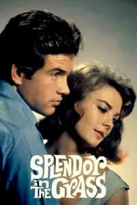 Poster to the movie "Splendor in the Grass" #622613