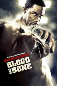 Poster to the movie "Blood and Bone" #81386