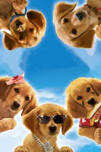 Poster to the movie "Air Buddies" #353921