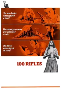 Poster to the movie "100 Rifles" #351512