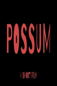 Poster to the movie "Possum" #366935