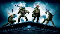 Backdrop to the movie "TMNT" #302626