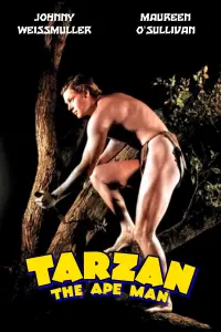 Poster to the movie "Tarzan the Ape Man" #356288