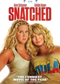 Poster to the movie "Snatched" #87279