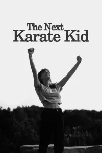 Poster to the movie "The Next Karate Kid" #63672