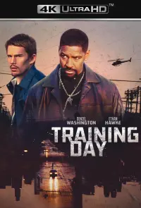 Poster to the movie "Training Day" #211528