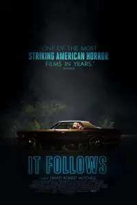 Poster to the movie "It Follows" #39313