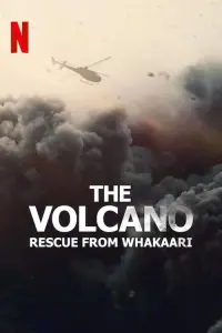 Poster to the movie "The Volcano: Rescue from Whakaari" #149207