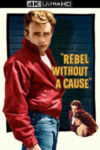 Poster to the movie "Rebel Without a Cause" #121101