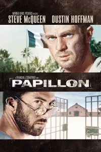 Poster to the movie "Papillon" #110660