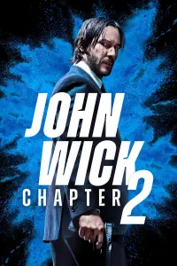 Poster to the movie "John Wick: Chapter 2" #168970