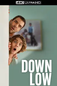 Poster to the movie "Down Low" #103893