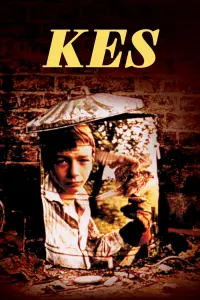 Poster to the movie "Kes" #211595