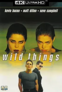 Poster to the movie "Wild Things" #102066