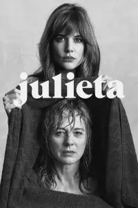 Poster to the movie "Julieta" #490945