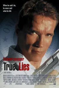 Poster to the movie "True Lies" #242856