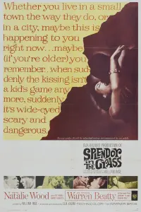 Poster to the movie "Splendor in the Grass" #365060