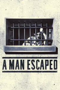 Poster to the movie "A Man Escaped" #181329