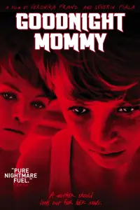 Poster to the movie "Goodnight Mommy" #147062