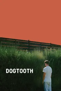 Poster to the movie "Dogtooth" #96326