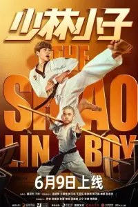 Poster to the movie "The Shaolin Boy" #603420