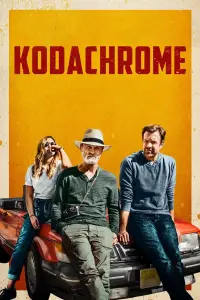 Poster to the movie "Kodachrome" #261900