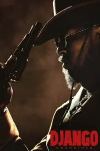 Poster to the movie "Django Unchained" #22048