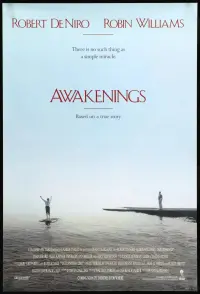 Poster to the movie "Awakenings" #100574