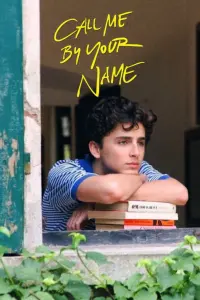 Poster to the movie "Call Me by Your Name" #37234