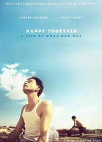 Poster to the movie "Happy Together" #155158