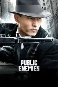 Poster to the movie "Public Enemies" #271238