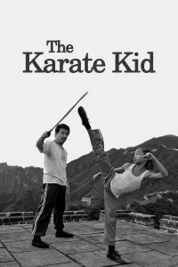 Poster to the movie "The Karate Kid" #281706