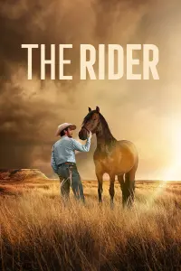 Poster to the movie "The Rider" #227967