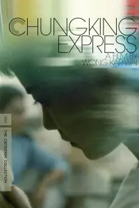 Poster to the movie "Chungking Express" #180382