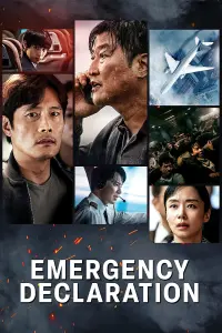 Poster to the movie "Emergency Declaration" #72455