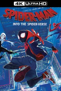 Poster to the movie "Spider-Man: Into the Spider-Verse" #13125