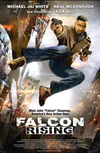 Poster to the movie "Falcon Rising" #144780