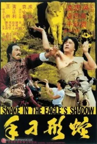 Poster to the movie "Snake in the Eagle