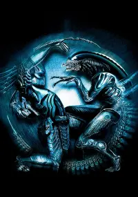 Poster to the movie "AVP: Alien vs. Predator" #597234