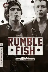 Poster to the movie "Rumble Fish" #134553