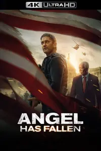 Poster to the movie "Angel Has Fallen" #46145