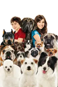 Poster to the movie "Hotel for Dogs" #306700