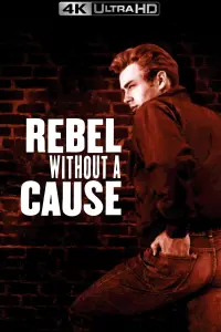 Poster to the movie "Rebel Without a Cause" #121095