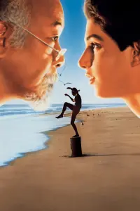 Poster to the movie "The Karate Kid" #443565