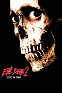 Poster to the movie "Evil Dead II" #207904