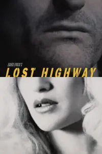 Poster to the movie "Lost Highway" #120888