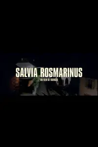 Poster to the movie "SALVIA ROSMARINUS" #199734