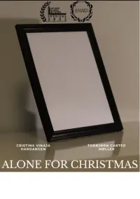 Poster to the movie "Alone for Christmas" #575658