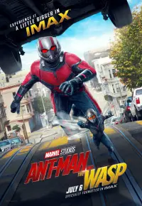 Poster to the movie "Ant-Man and the Wasp" #41983